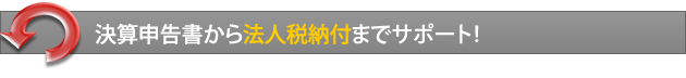 決算申告書から法人税納付までサポート！