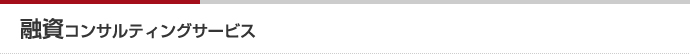 融資コンサルティングサービス